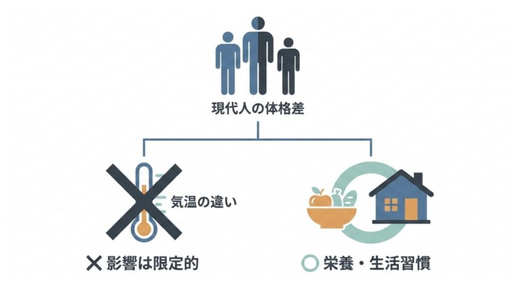 現代人の体格差に対する気温、栄養、生活習慣の影響の違いを示す図解